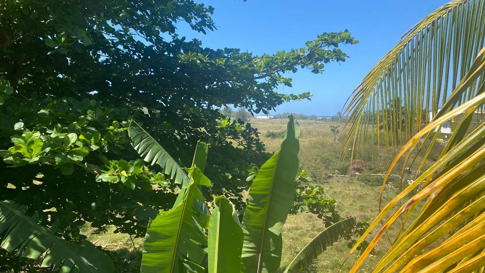 Pensión Villa Marsana Aguada