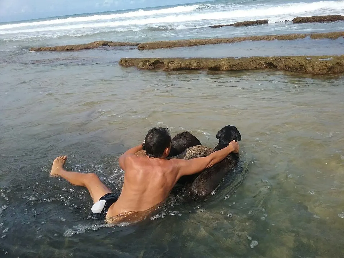 Pensión Villa Marsana Aguada